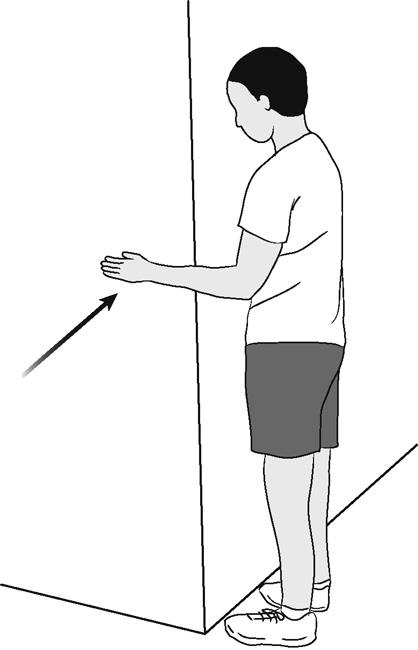 Illustration of shoulder internal rotation (isometric)