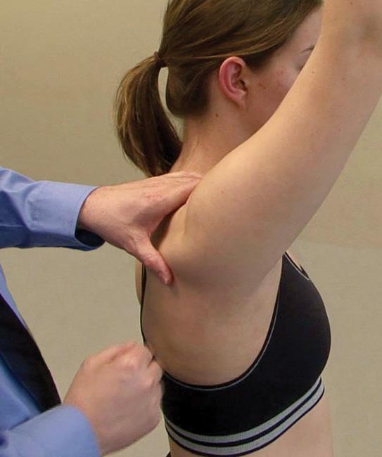 physical exam of shoulder