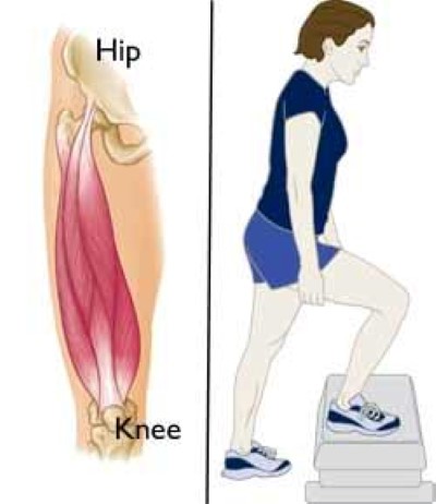 exercise for strengthening the quadriceps muscle