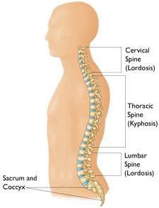 upper lumbar region