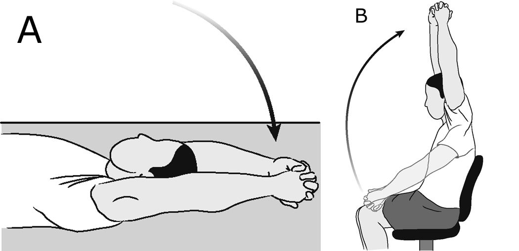 Illustrations of shoulder forward elevation (assisted)